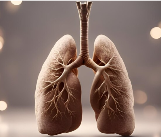 Healthy Lungs