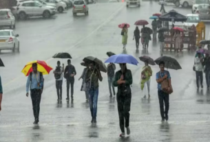 rainfall: