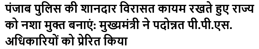 पंजाब पुलिस की शानदार विरासत कायम रखते हुए राज्य को नशा मुक्त बनाएं: मुख्यमंत्री ने पदोन्नत पी.पी.एस. अधिकारियों को प्रेरित किया