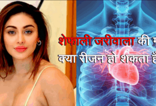 Shefali Jariwala News