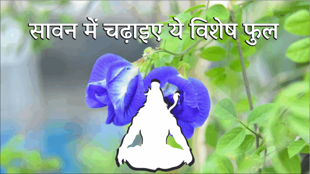 Sawan 2025 Om Shivay