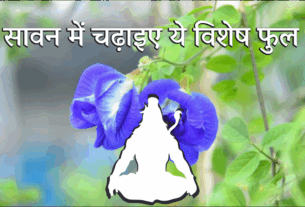 Sawan 2025 Om Shivay