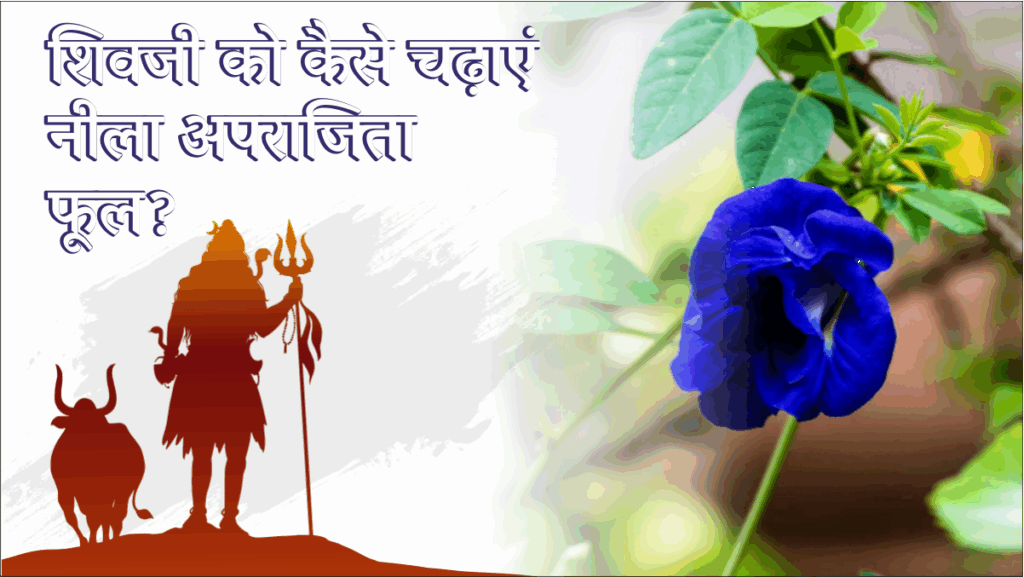 Sawan 2025 Om Shivay 