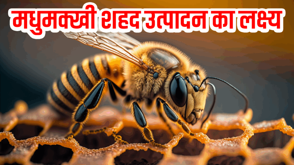 मुख्यमंत्री नायब सिंह सैनी की बड़ी घोषणा, मधुमक्खी शहद पालन से संबंधित शहद को भी भावांतर भरपाई योजना #honey #nayabsaini #honeybee