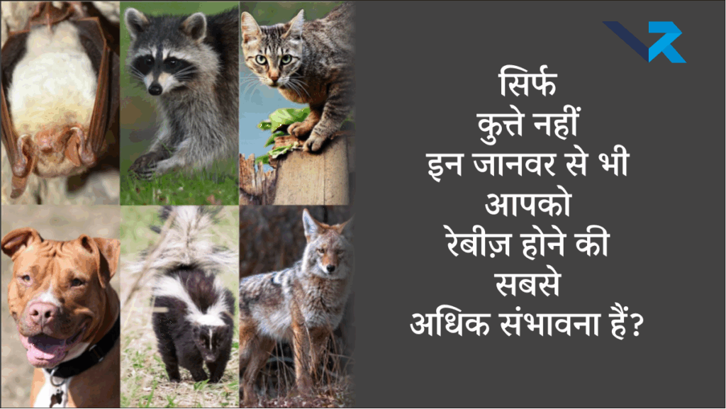 Rabies