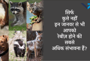 Rabies