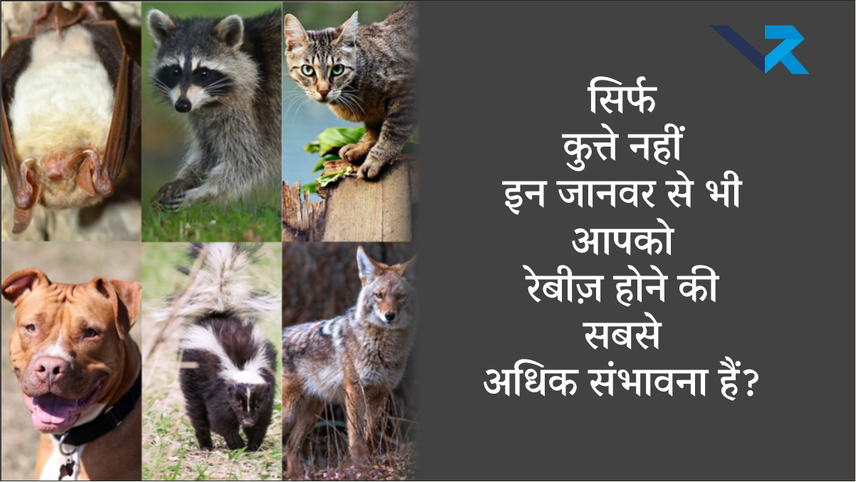 Rabies