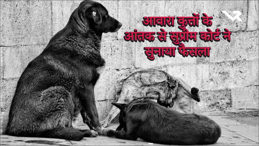 Delhi-NCR