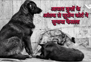 Delhi-NCR