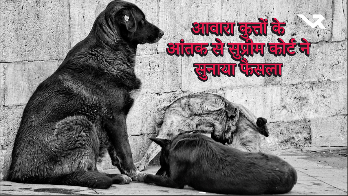 Delhi-NCR