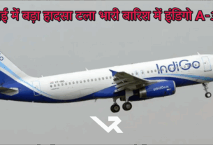 Indigo Airbus A-321