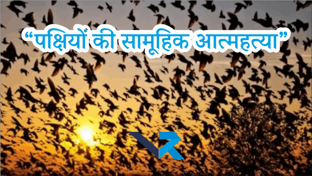 Mass Bird Suicide