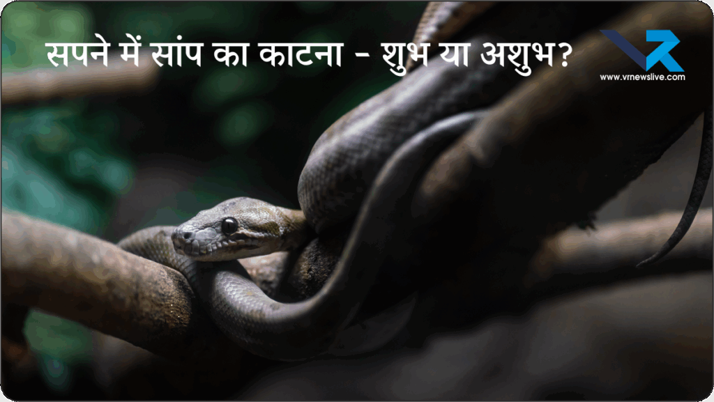 Snake Bite In Dream