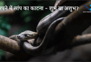 Snake Bite In Dream