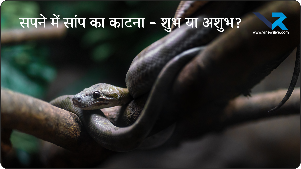 Snake Bite In Dream