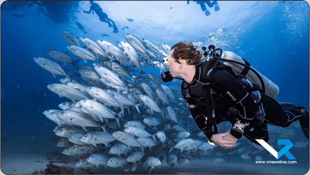 Scuba